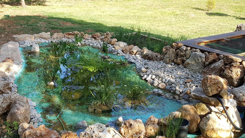 Villa Eden Vert Fayence Luaran gambar