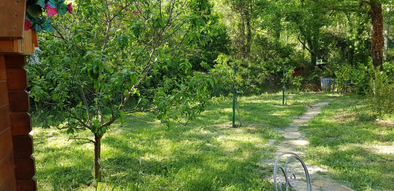Villa Eden Vert Fayence Luaran gambar